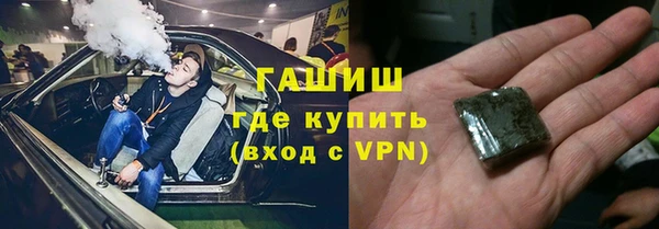 сатива Каменка