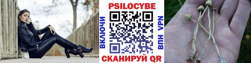 Галлюциногенные грибы GOLDEN TEACHER  hydra как зайти  Альметьевск 