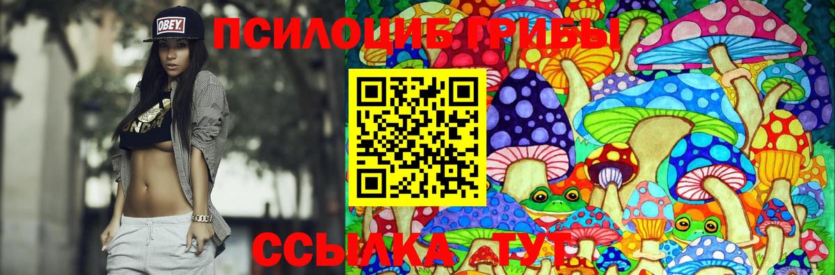 Альметьевск  Псилоцибиновые грибы Psilocybe  Вход с VPN  Псилоцибиновые грибы мицелий 