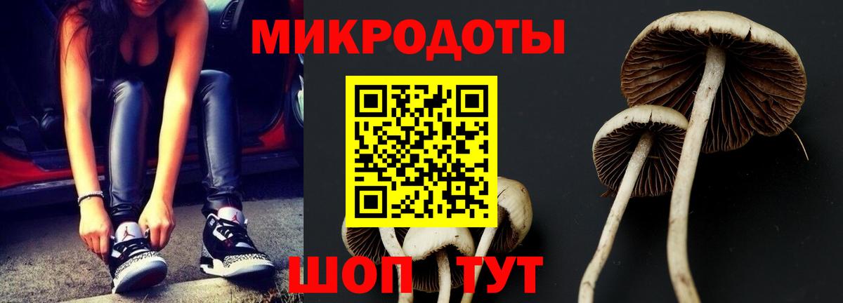 Псилоцибиновые грибы мухоморы  как найти закладки  Альметьевск 